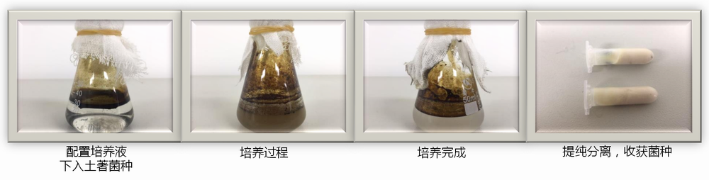 含油土壤生物生态复合修复技术(图2)